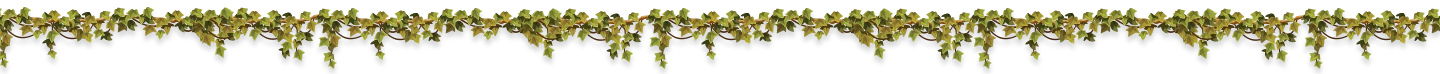 Decoração